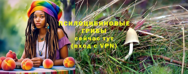 дмт Арсеньев