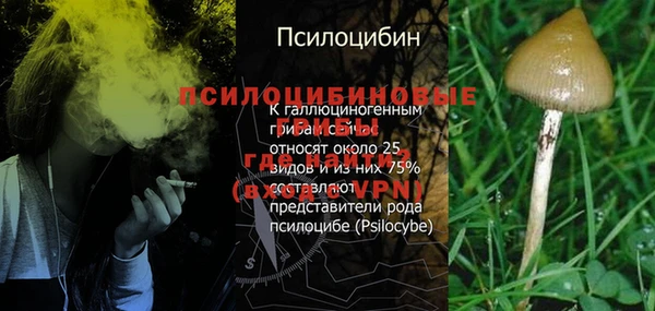 PSILOCYBIN Алексин