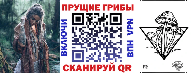 Галлюциногенные грибы Psilocybe  где купить наркоту  Кологрив 